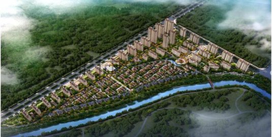 ���S���P������