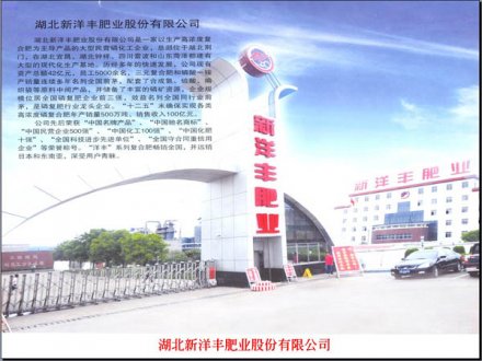 湖北新洋豐肥業(yè)